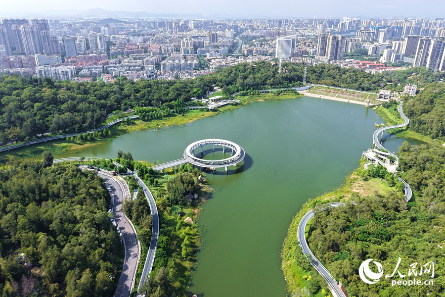 盛夏時(shí)節(jié)的廈門(mén)東坪山風(fēng)景秀麗。人民網(wǎng)記者 陳博攝