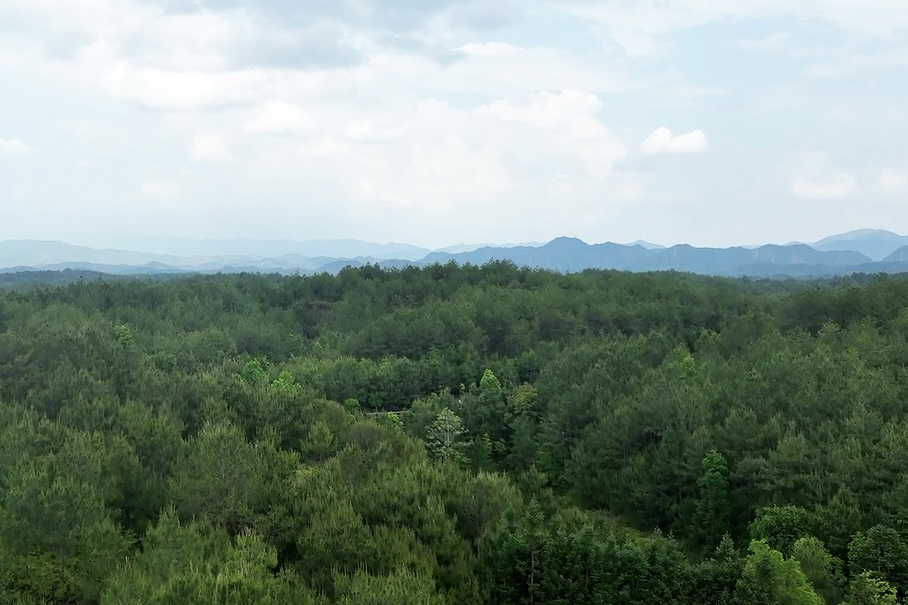 長汀縣羅地草山（2022年）。長汀縣水土保持中心供圖