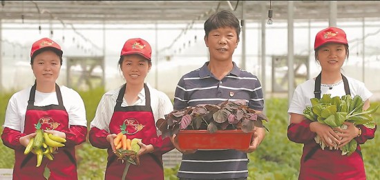 莊家寶蔬菜專業(yè)合作社的生態(tài)特色農(nóng)產(chǎn)品。受訪單位供圖